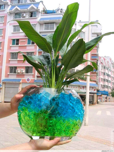 Amazing Magic Bubble 10,000Pcs/Set